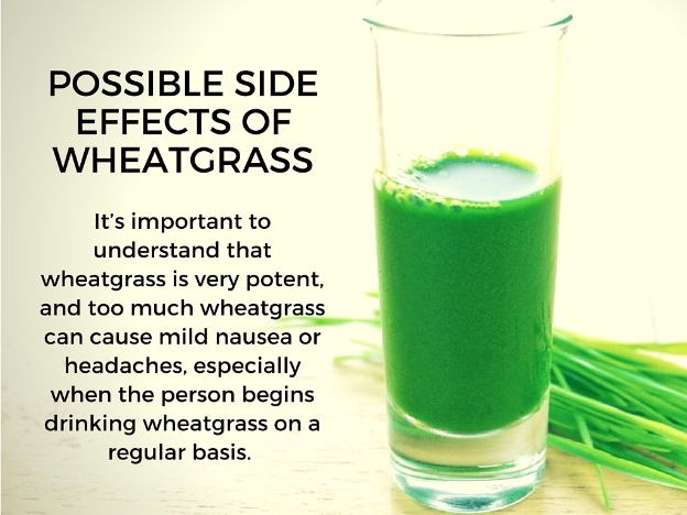 side effects from wheatgrass, 
side effects of wheatgrass juice